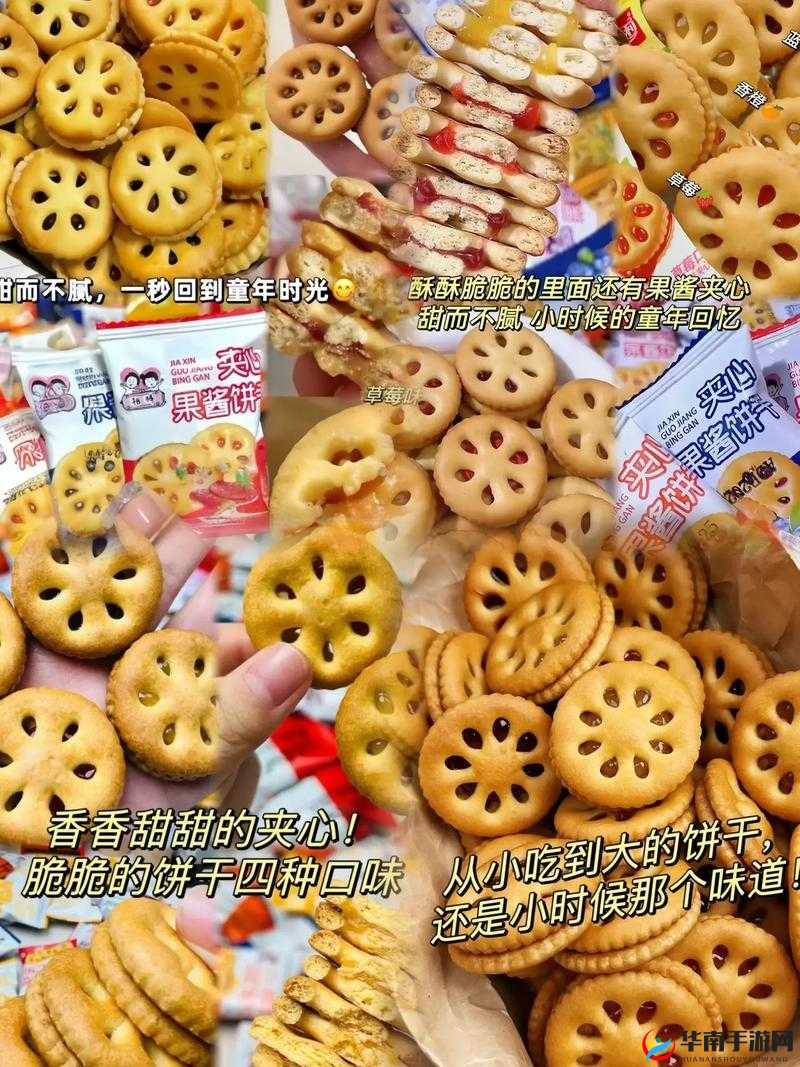 双胞胎一前 一后夹心饼干:独特美味的新体验