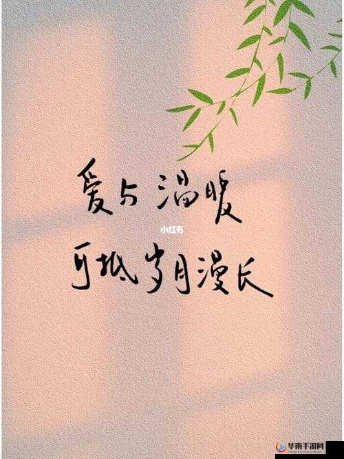 定期回娘家安慰父亲：传递爱与温暖