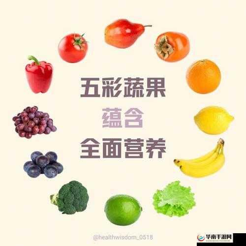 向日葵草莓秋葵黄瓜荔枝丝瓜：多彩蔬果大集合