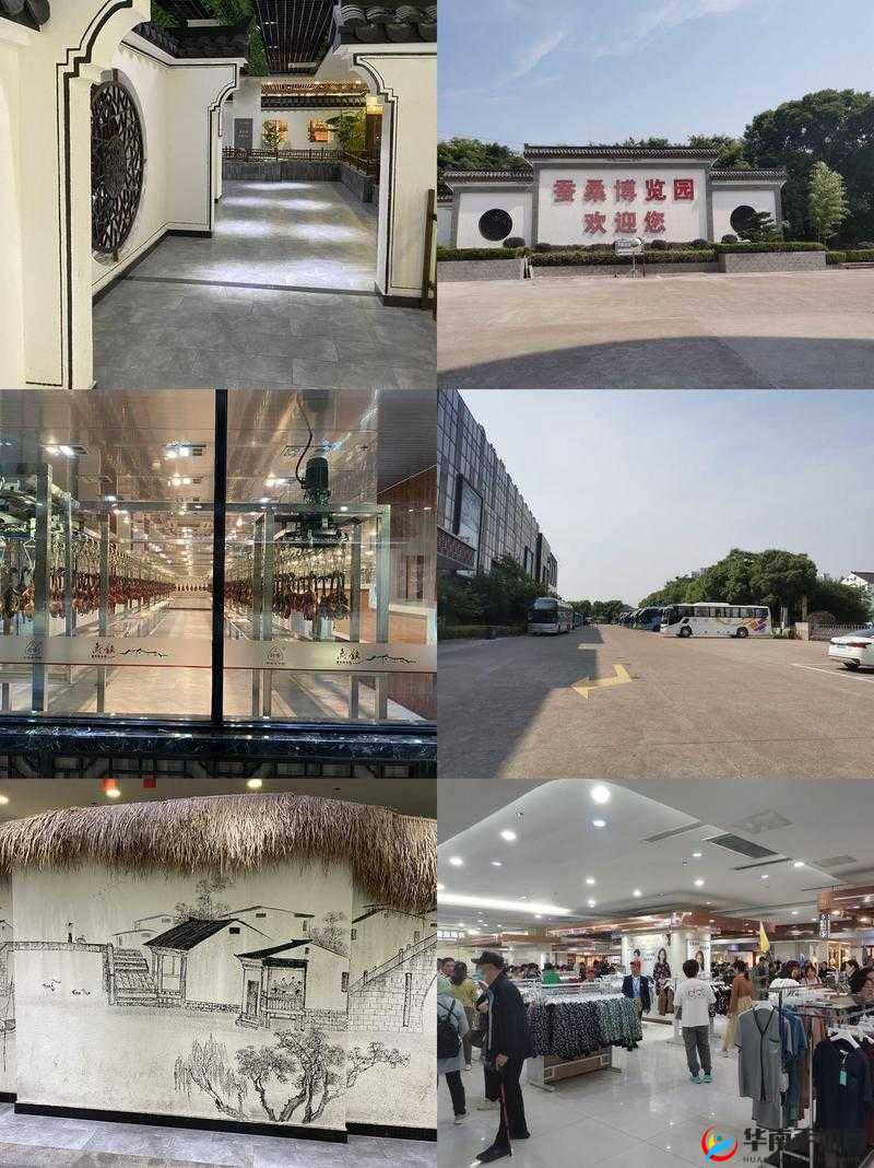 劫后余生中郑永信好感提升送礼全攻略：带你探索其所在之处