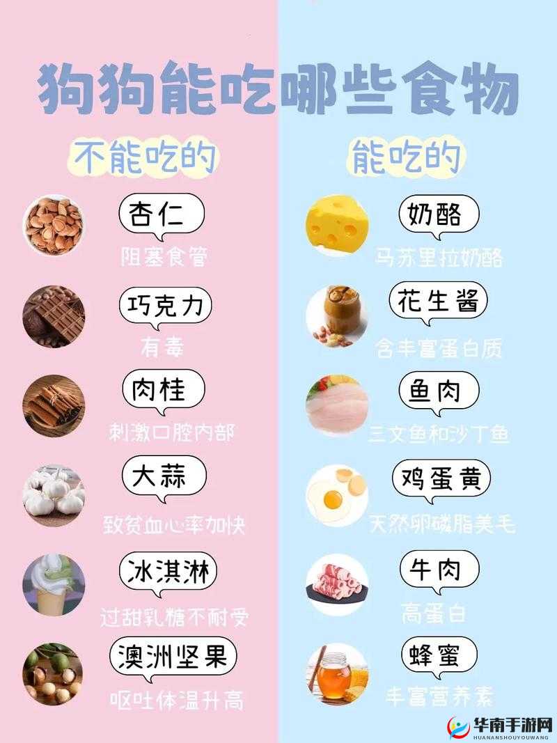 人狗胶配方大全狗狗一天吃多少：相关问题探讨