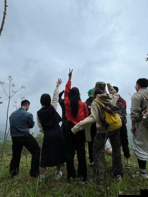 在野外用小雨伞拔萝卜好吗:一种有趣的户外体验