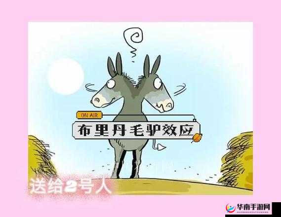 模拟江湖毛驴购买建议：毛驴是否值得入手