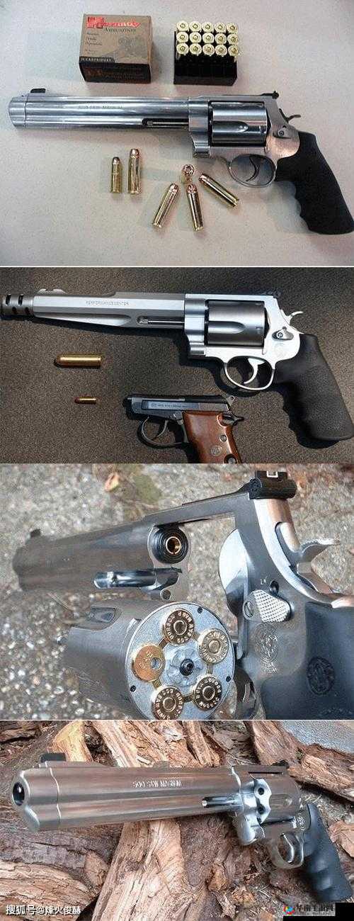 双生视界手枪大揭秘 谁是最强手枪 全面详细排行一览