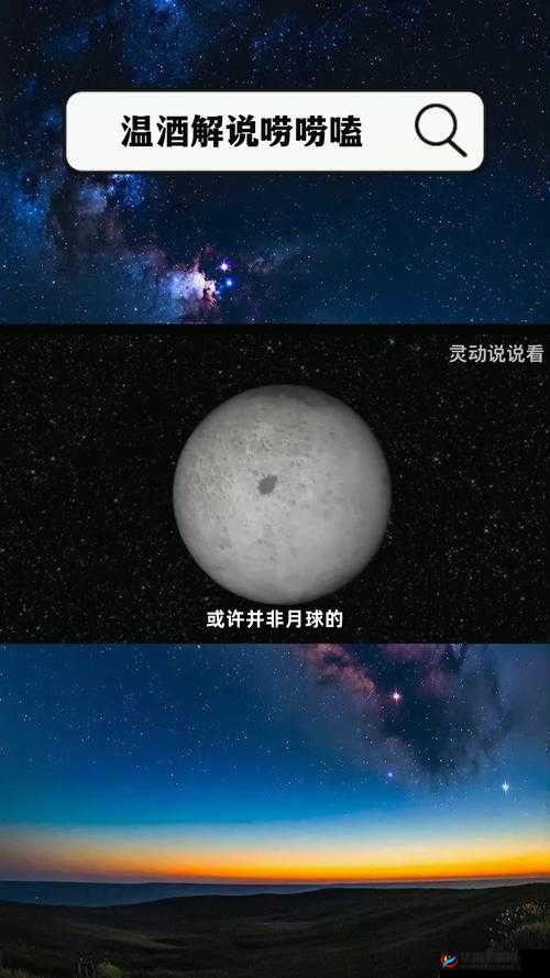 蝌蚪窝 911：在线视频平台，海量资源等你发现