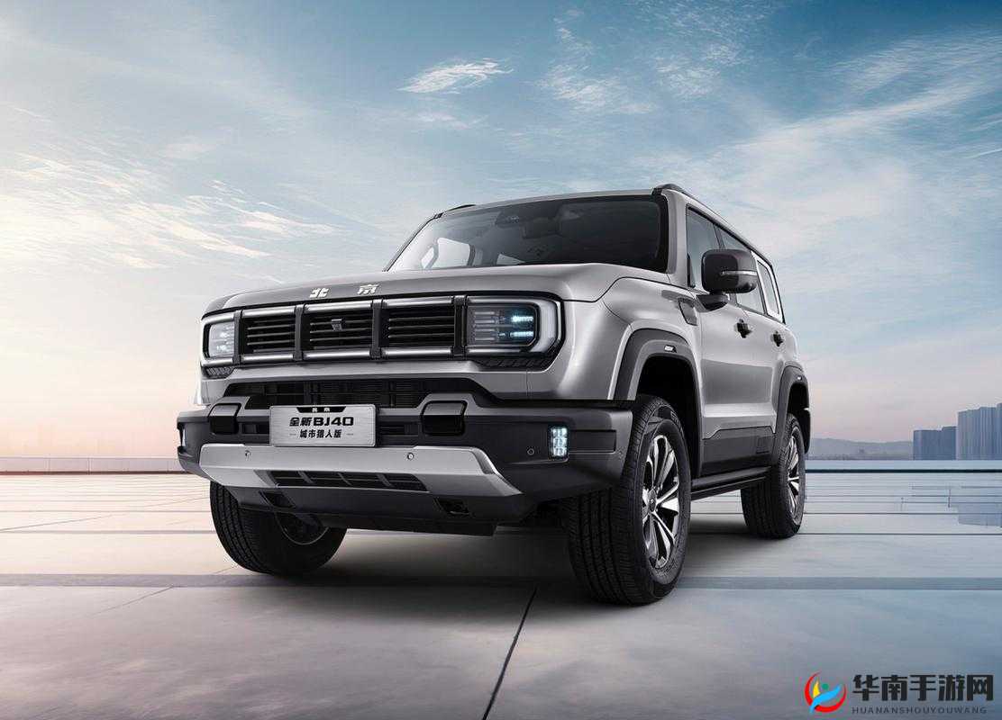 497799 欧洲版的国产 SUV 有何特点：解析