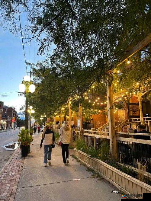 东南亚怡红院网：独特风情之地