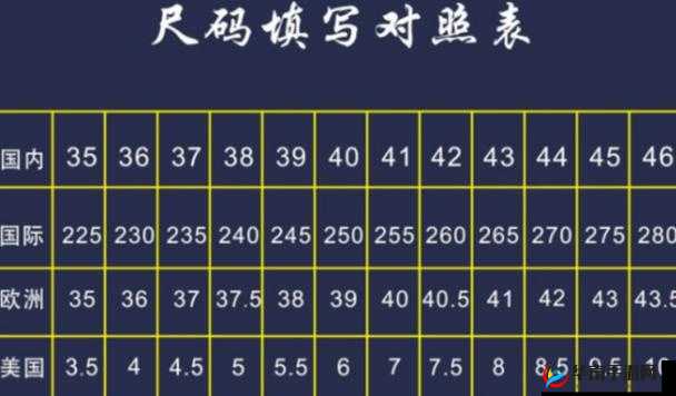 一码二码和欧洲尺码:深度解析与对比