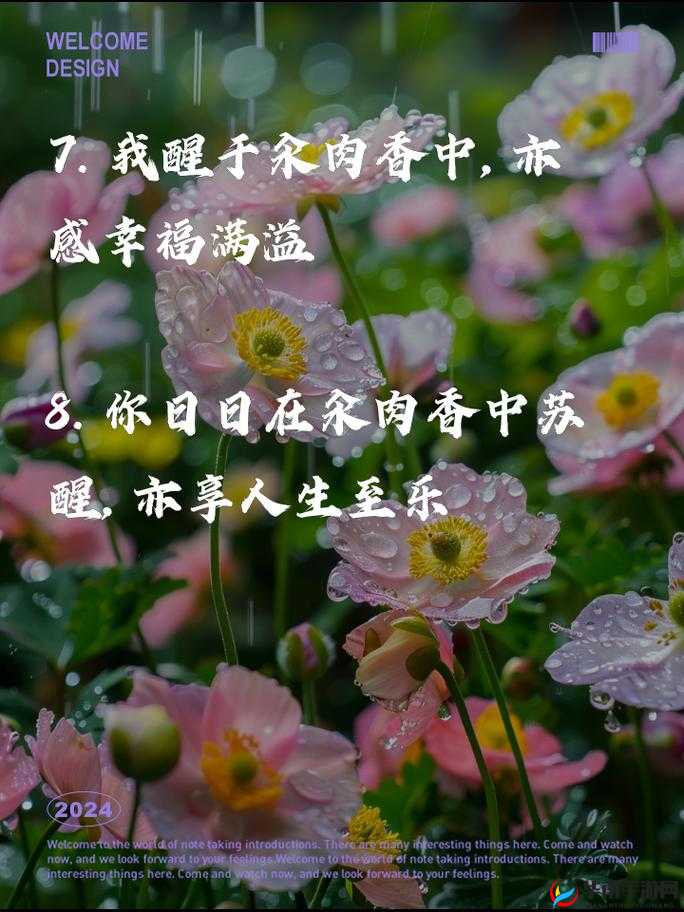 每天在汆肉中醒来：这奇妙的生活体验