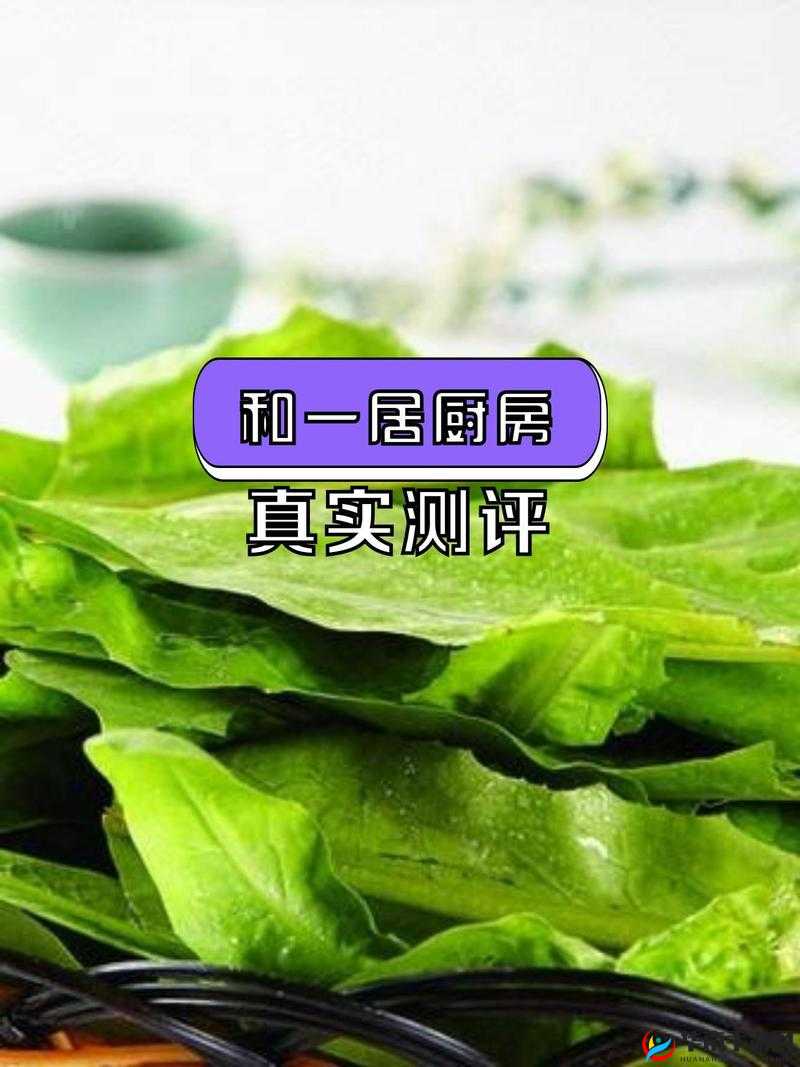 厨房里的春天：美味与希望的季节