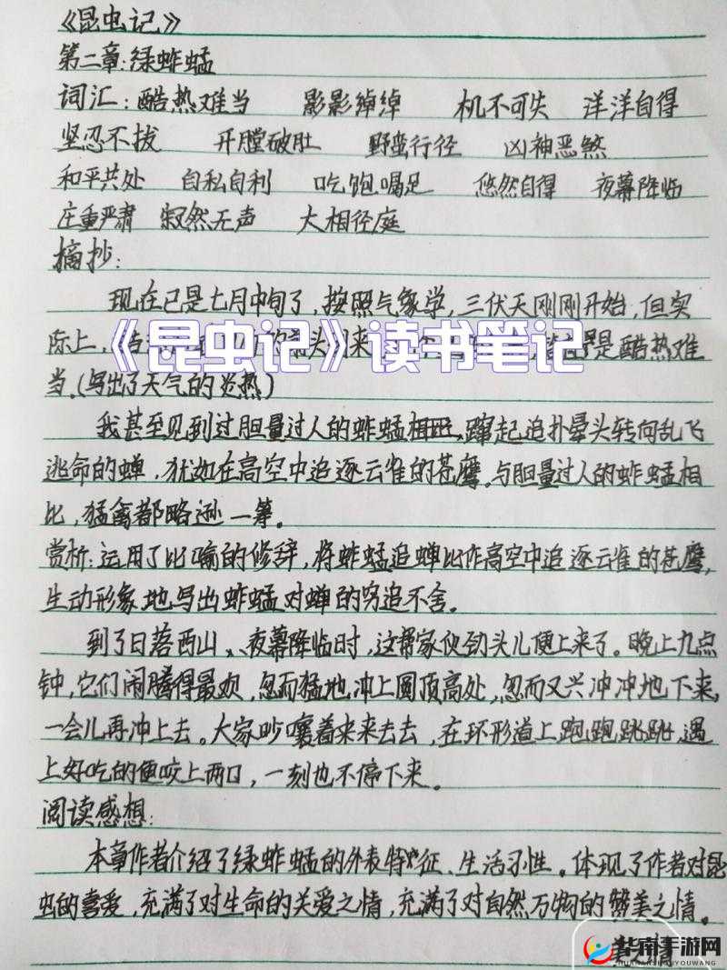 黛玉初试金箍棒第二章续情篇