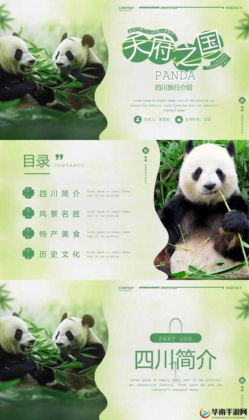 四川 XXXXXLm：关于它的介绍