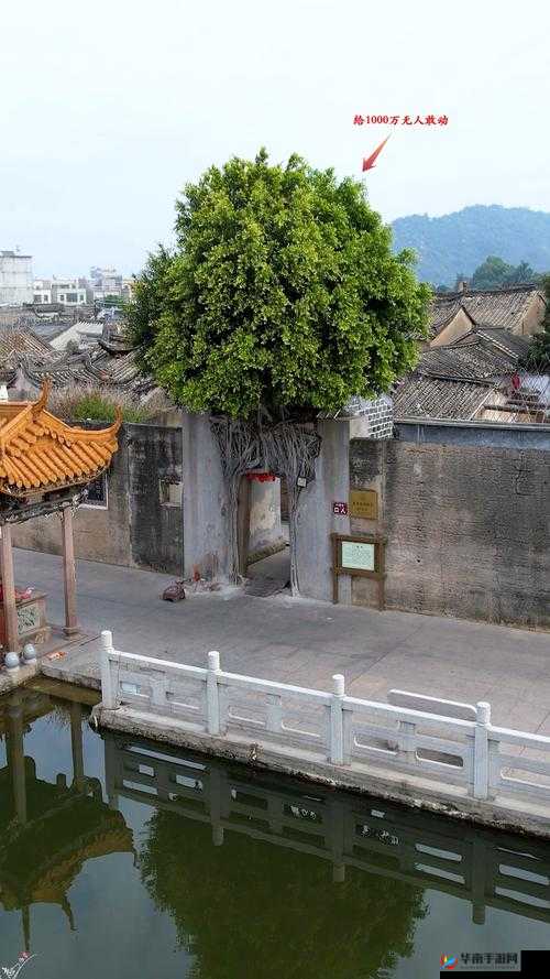 国产 DB624 色谱柱 36521 据说无法打开了：原因何在