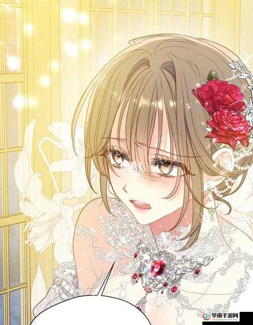 群臣共享的小公主银羽：奇幻国度的奇妙故事