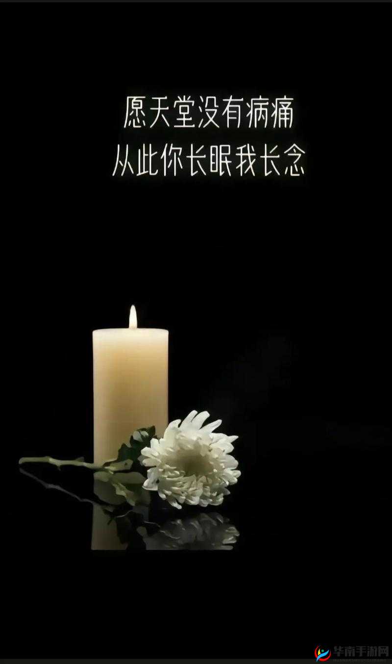 爸爸的：老公的=？