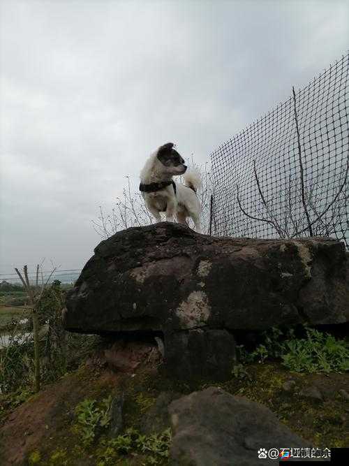 宝宝那么多水还说不要把腰抬起来：令人惊奇的场景