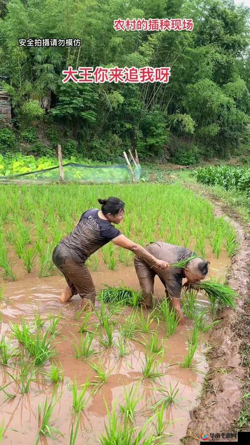 夫妻之间 100 种插秧法全解析
