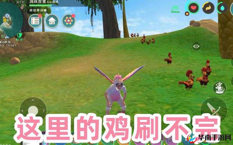 创造与魔法：鸡毛的妙用