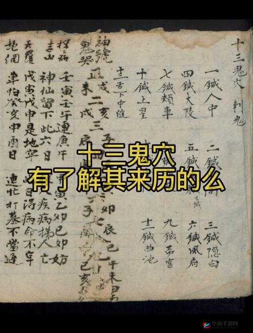 穴医她想逃：从古至今的医术传承之探秘