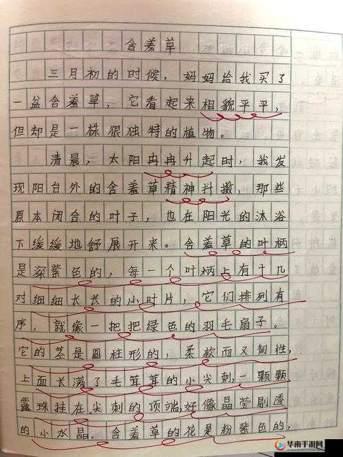 含羞草成年实验所：探索植物奥秘的前沿阵地