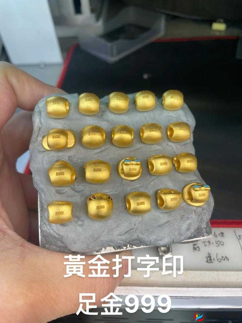 黄金锐印圣耀石：秘宝传奇之旅