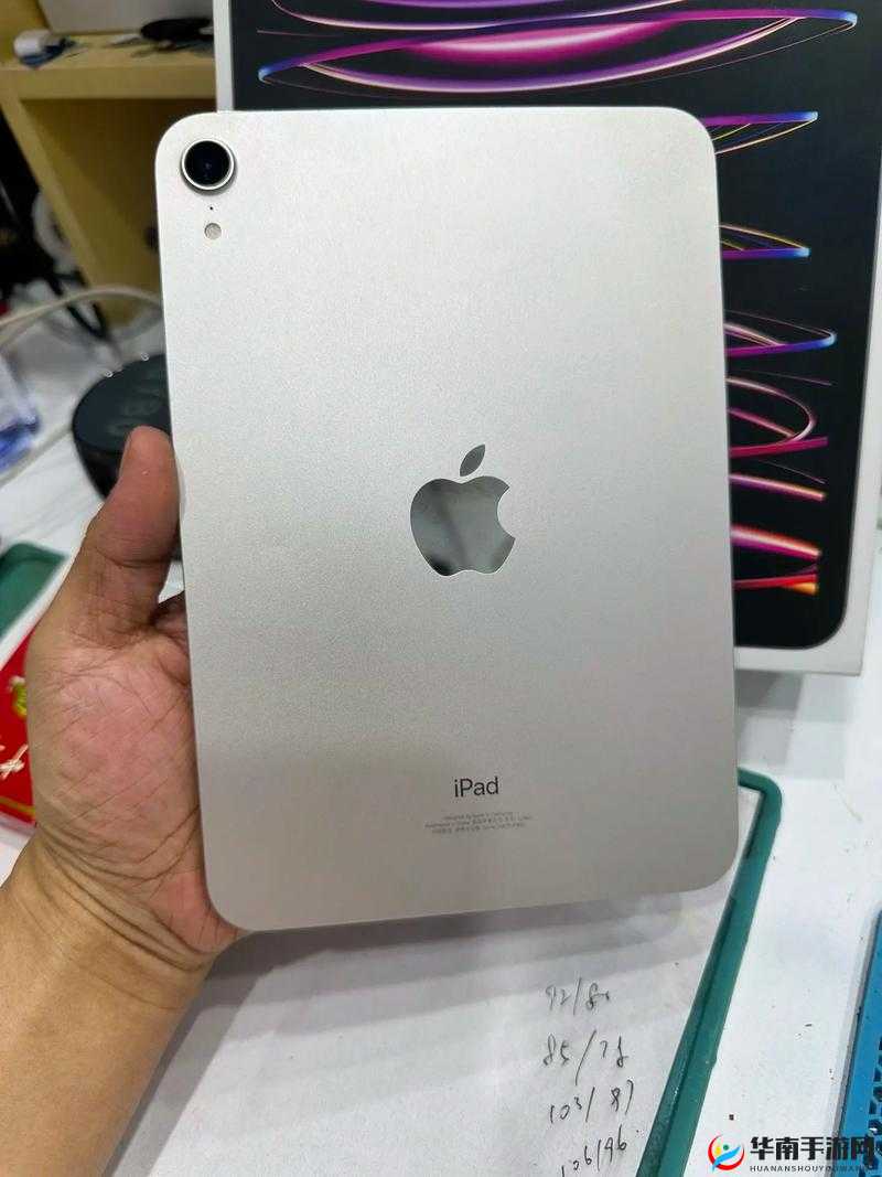 秘密入口 Mini6 安全攻防:全面解析