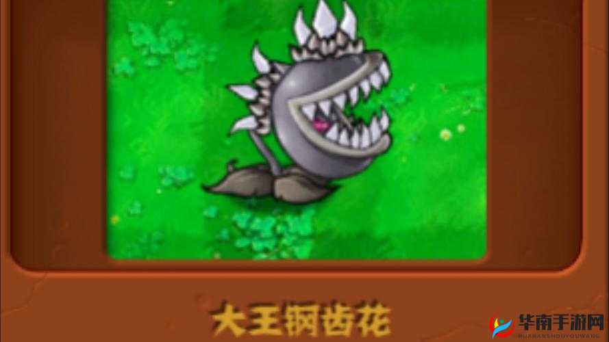 玩转梗贼6：管理员挑战通关攻略大揭秘