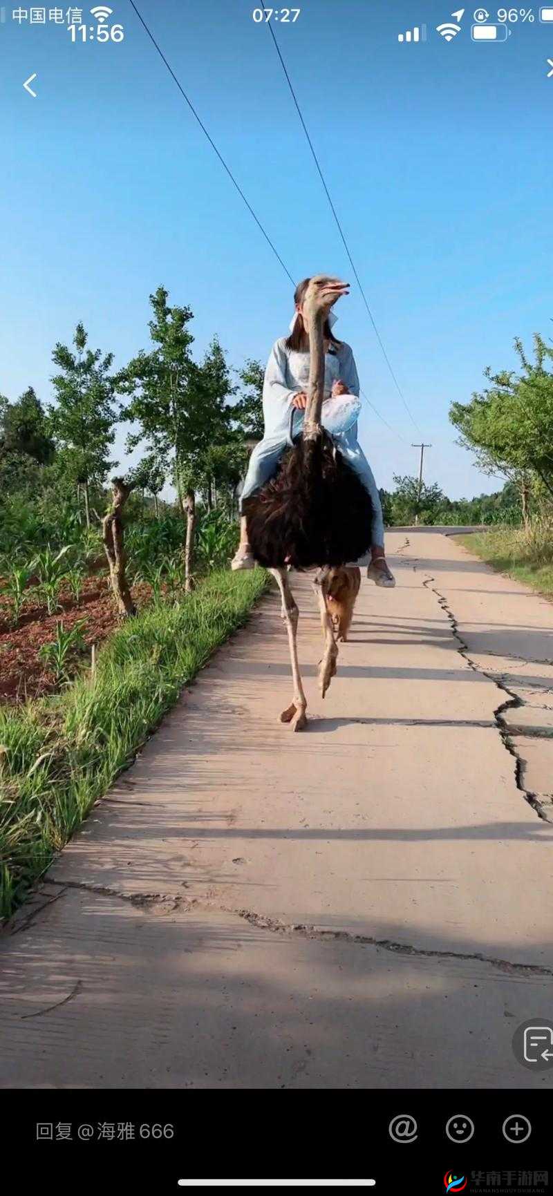 女人与拘高清 ZOZ0：探究人与动物的关系