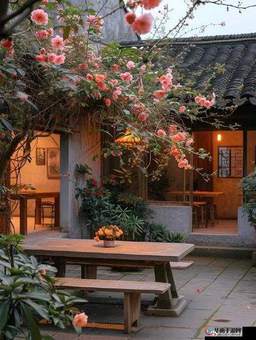 温馨小院满院春光，美好景致令人沉醉