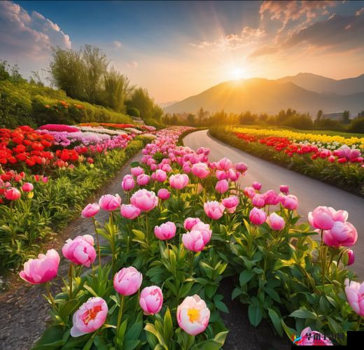 春天里最动人的风景:那一抹绚烂的花海