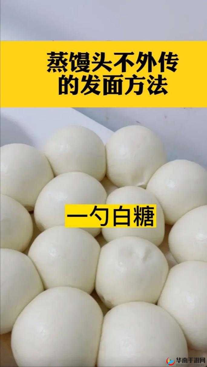 馒头的秘密：探寻馒头背后的未知