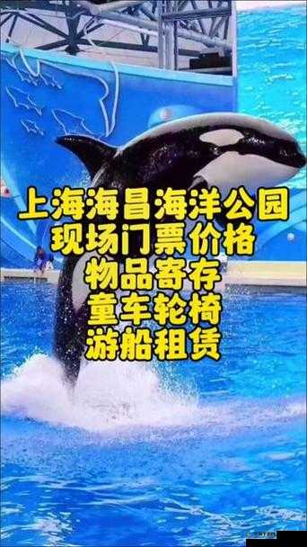 潜水员戴夫白鲸捕捉攻略:抓捕位置详解或者:戴夫白鲸潜水探索指南:捕捉地点揭秘