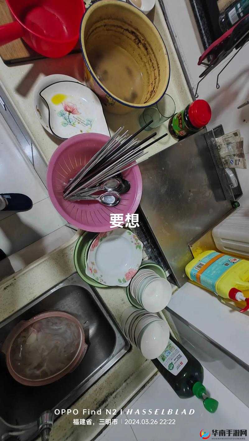 从厨房一路干到客厅好吗：家务大挑战