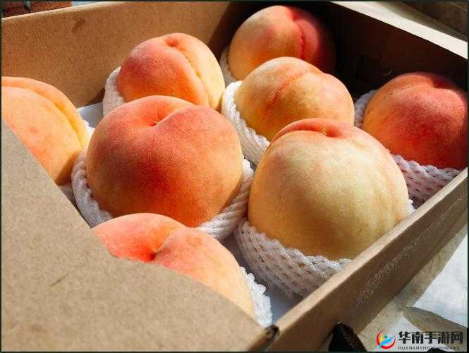 X7X7X7X7 任意噪水蜜桃：甜蜜的诱惑