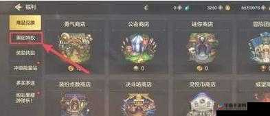 DNF手游黑钻保管箱揭秘：临时保管箱进入指南