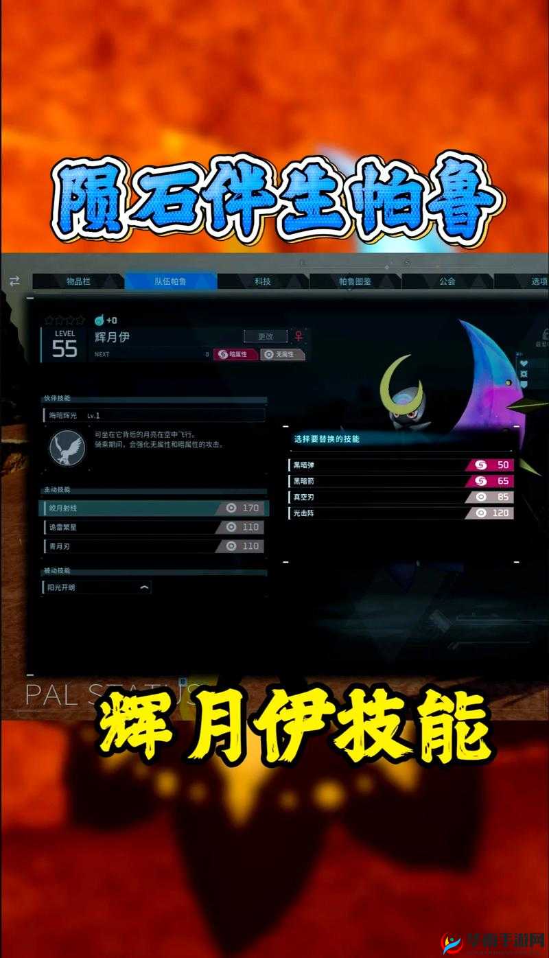 伊丁天堂暗夜精灵攻略大全：新手必看