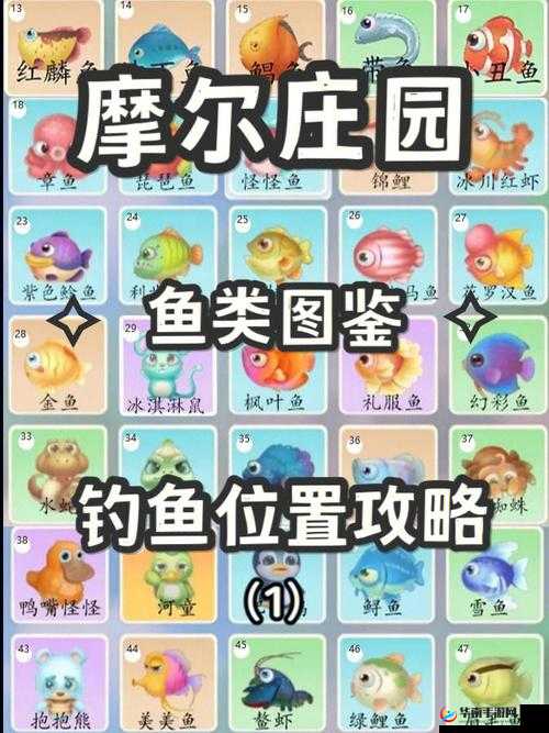 摩尔庄园钓鱼:好处多多,用途全面大盘点