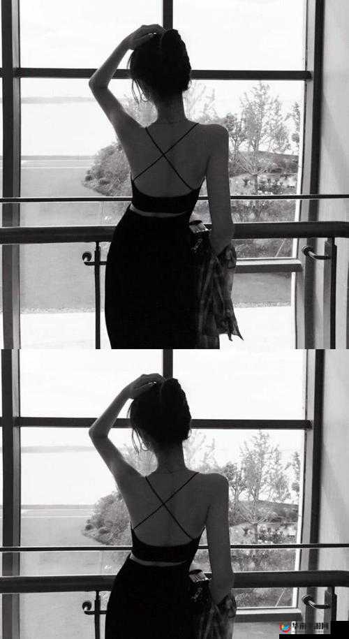 1024 手机金沙人妻无码：探索私密情感世界