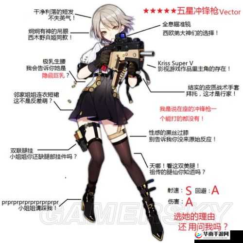 少女前线 vector 是否值得培养？深度解析其价值与潜力