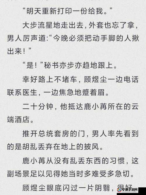 总裁的心头宝 1V1 已发布完整版资源:先婚后爱,霸总追妻火葬场