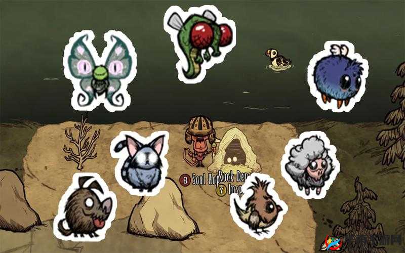 饥荒宠物作用盘点