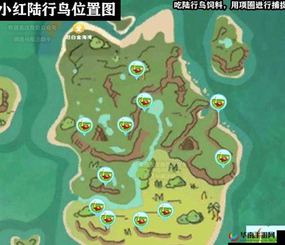 在创造与魔法中麻雀的具体位置解析