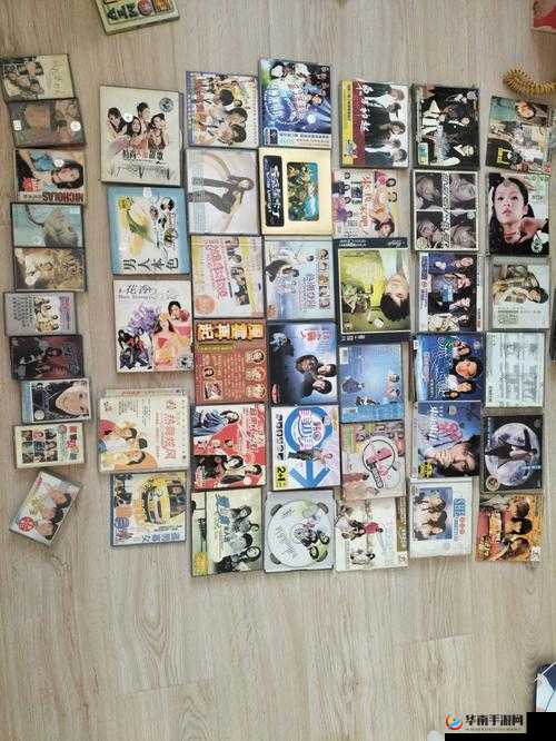 一区碟片和二区碟片的区别-特点与适用范围