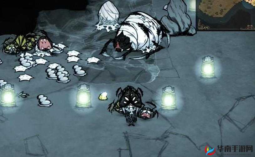 饥荒游戏中蜘蛛究竟能否戴上帽子之深度探究与分析