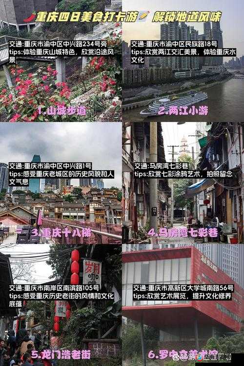 大掌门探秘之旅：寻访系统深度解析与攻略指南