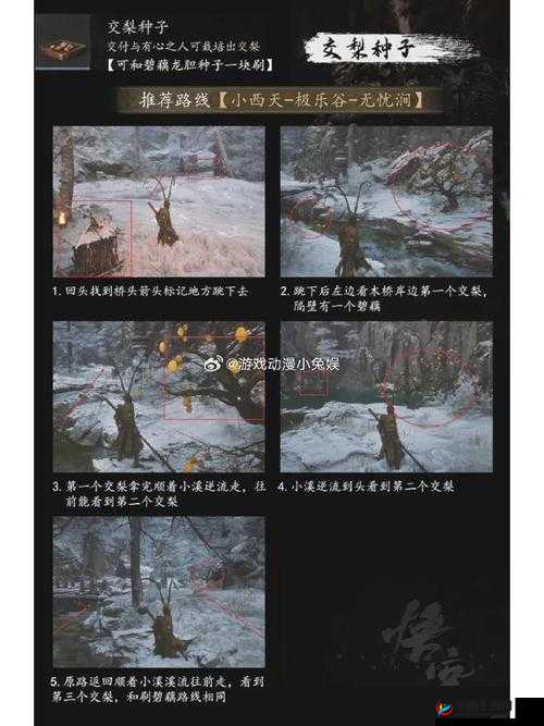 艾尔登法环DLC祷告远方之怒获取攻略:详细指南教你如何获取远方之怒技能