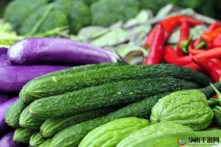 下面痒了用黄瓜还是茄子好：这是个问题