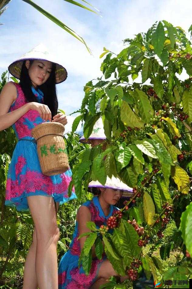 女神·啡常领域：探索咖啡文化与女性魅力的独特交融