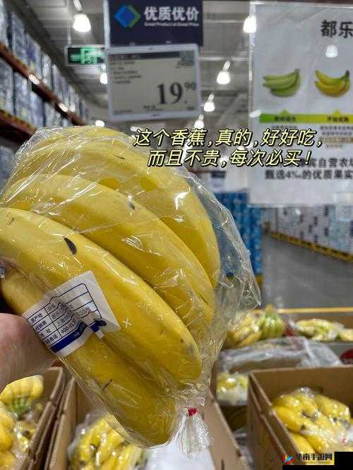 珊瑚岛夏季山姆种子稀少之谜揭秘