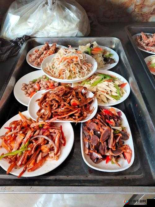 JY 改造系统人阮甜特权已过期：即将面临的挑战